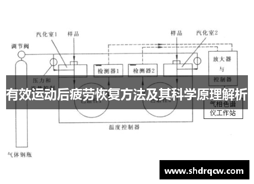 有效运动后疲劳恢复方法及其科学原理解析